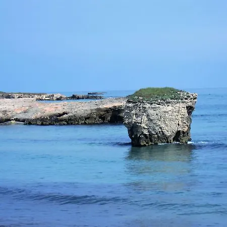 Neptunia Fronte Mare