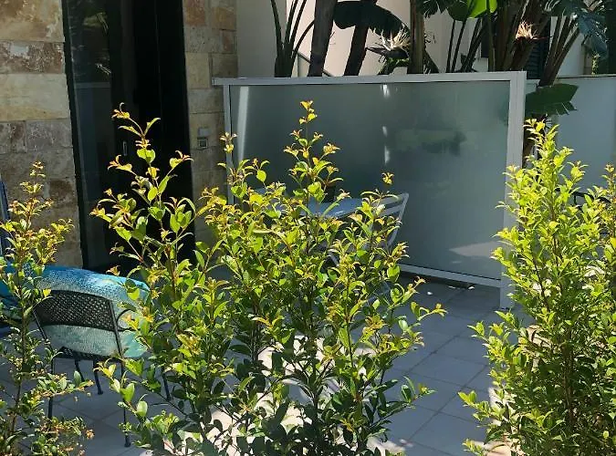 Neptunia Fronte Mare 3*